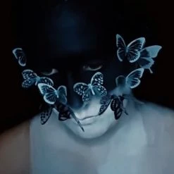 Clown Antics Creative Butterfly Stickers (18/pack) Stickers, Give Aways