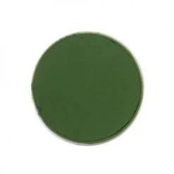 Face Paint Brands Kryolan Aquacolor Green Face Paint Refills - Dark Green 512 4 Ml
