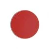 Kryolan Aquacolor Red Face Paint Refills - Dark Red 081 (4 Ml) Face Paint Brands