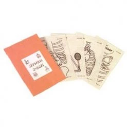 Clown Antics Mini Medical X-Rays (40/Pack)