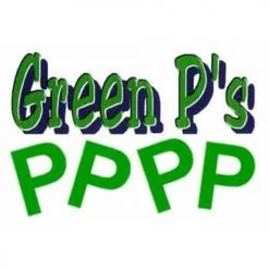 Clown Supplies Inc. Stickers, Give Aways Foam Letters - Green P's (48/bag)