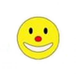 Clown Supplies Inc. Bubba's Foam Fetti - Smiley Faces (48/Pack) Stickers, Give Aways